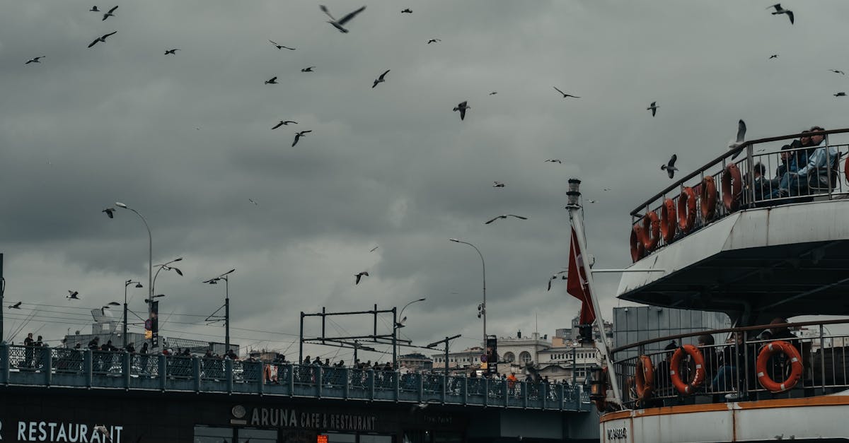 A Journey Through Flavors: Fusion Food Festivals in Byron Bay