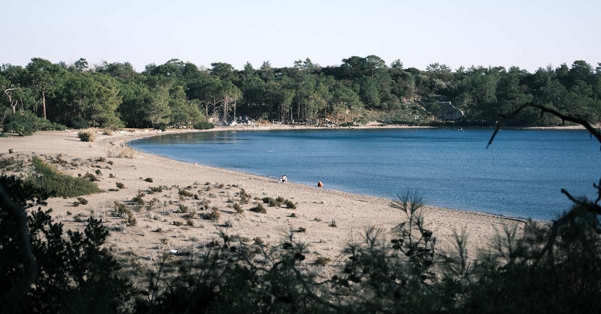Cultural Significance of Indigenous Foods in Byron Bay Restaurants