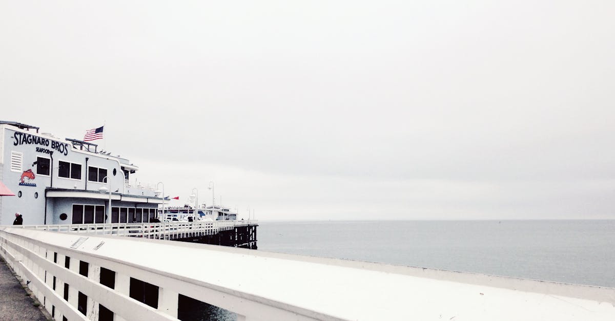 Exploring Byron Bay's Best Vegan Breakfast Spots