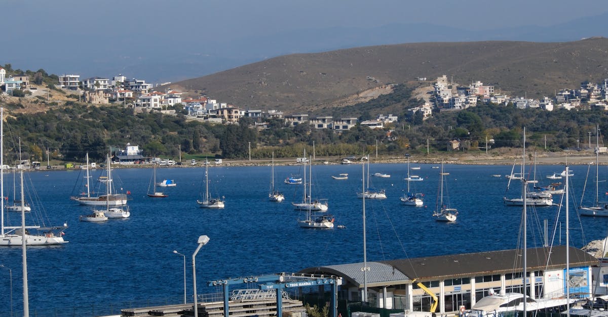 Exploring Byron Bay's Commitment to Organic and Sustainable Practices