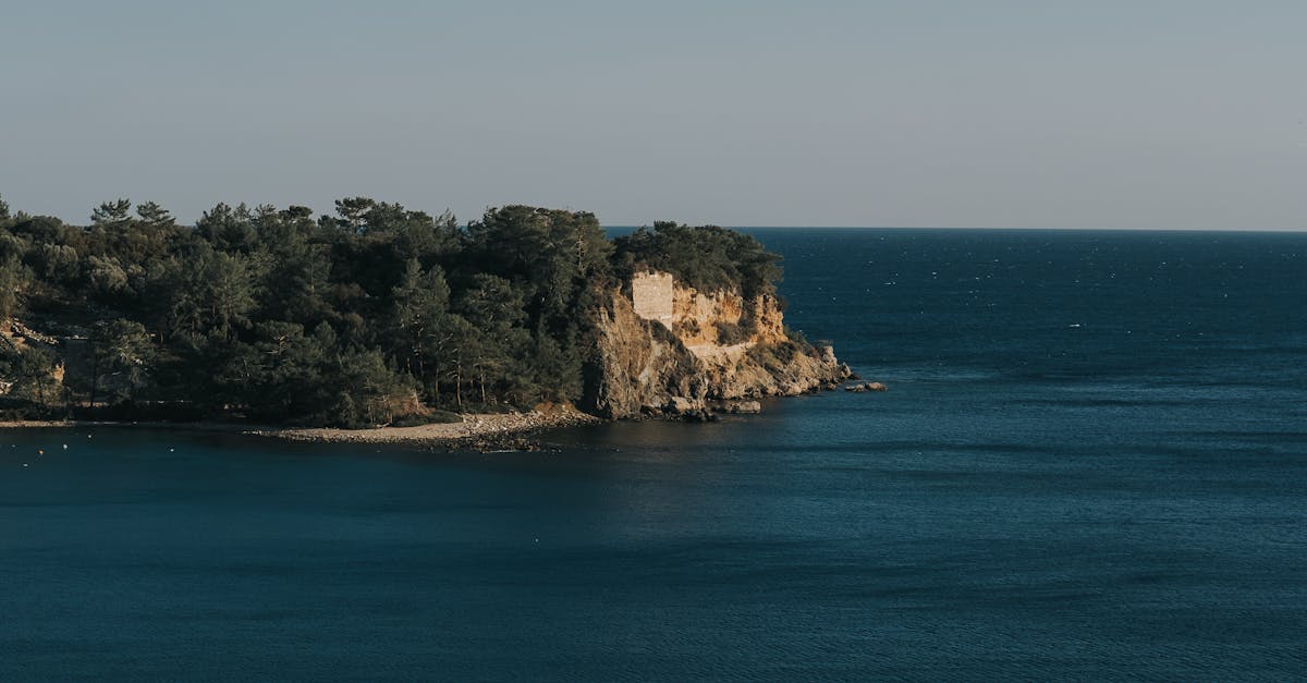 Freshly Shucked: The Top Oyster Bars in Byron Bay