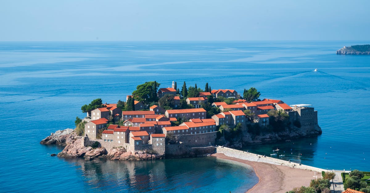 Gourmet Takeaway: High-End Cuisine Delivered to Your Door