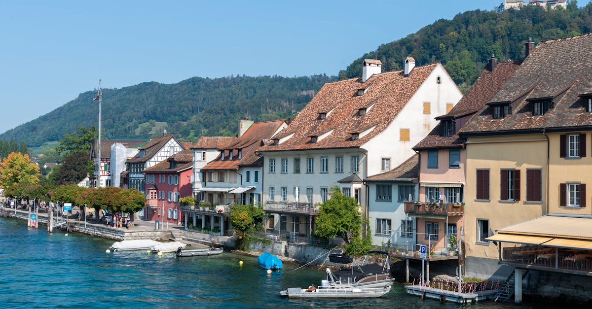 Pet-Friendly Outdoor Dining Areas in Byron Bay