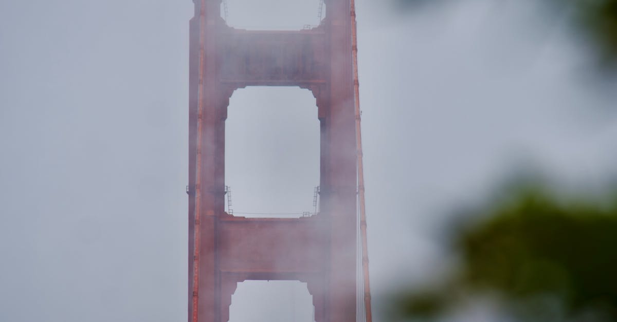 Savouring Luxury: Fine Dining Options in Byron Bay