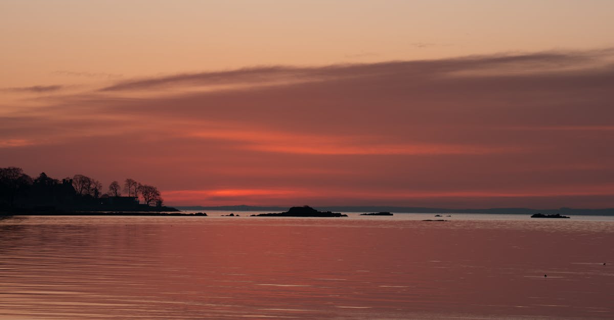 Sourcing Ingredients Locally: The Heart of Byron Bay's Dining Scene