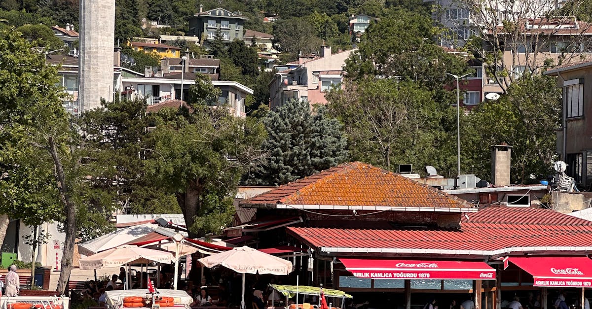 The Rise of Casual Dining Trends in Byron Bay