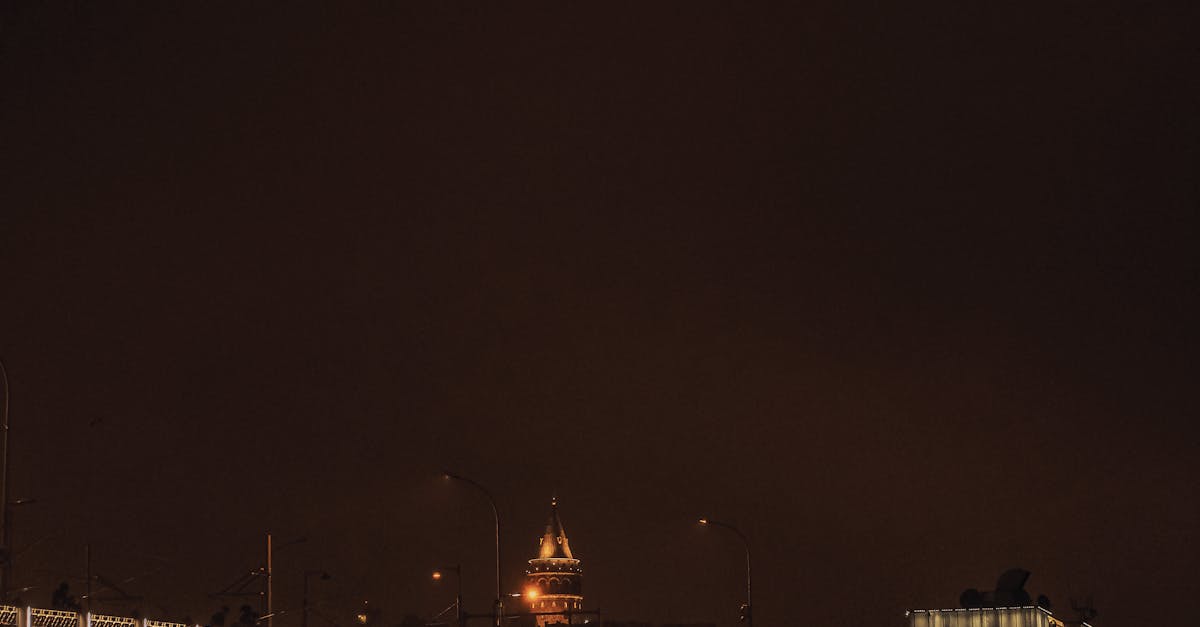 The Rise of Plant-Based Menus at Byron Bay Cafés